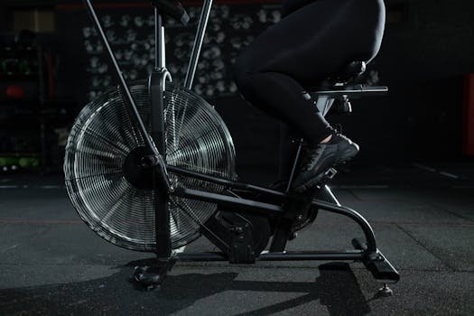 Why Your Heart Loves When You Move